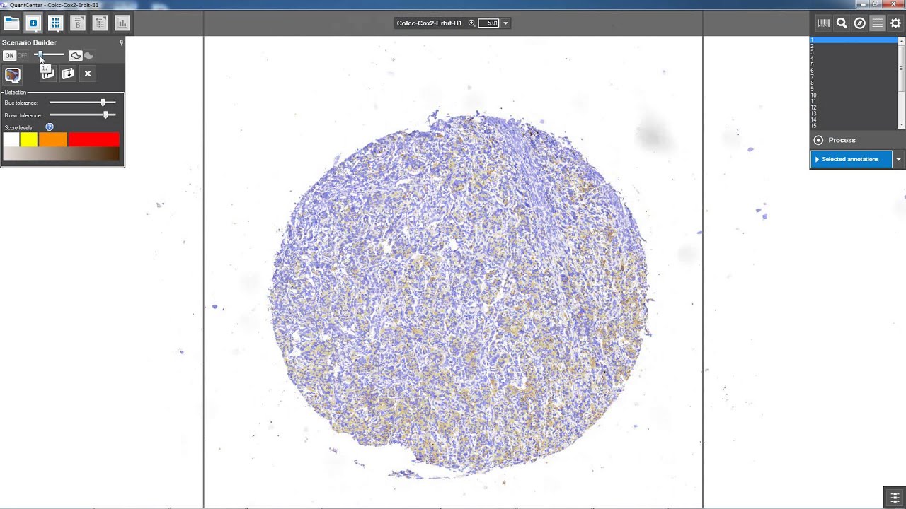 3DHISTECH - DensitoQuant