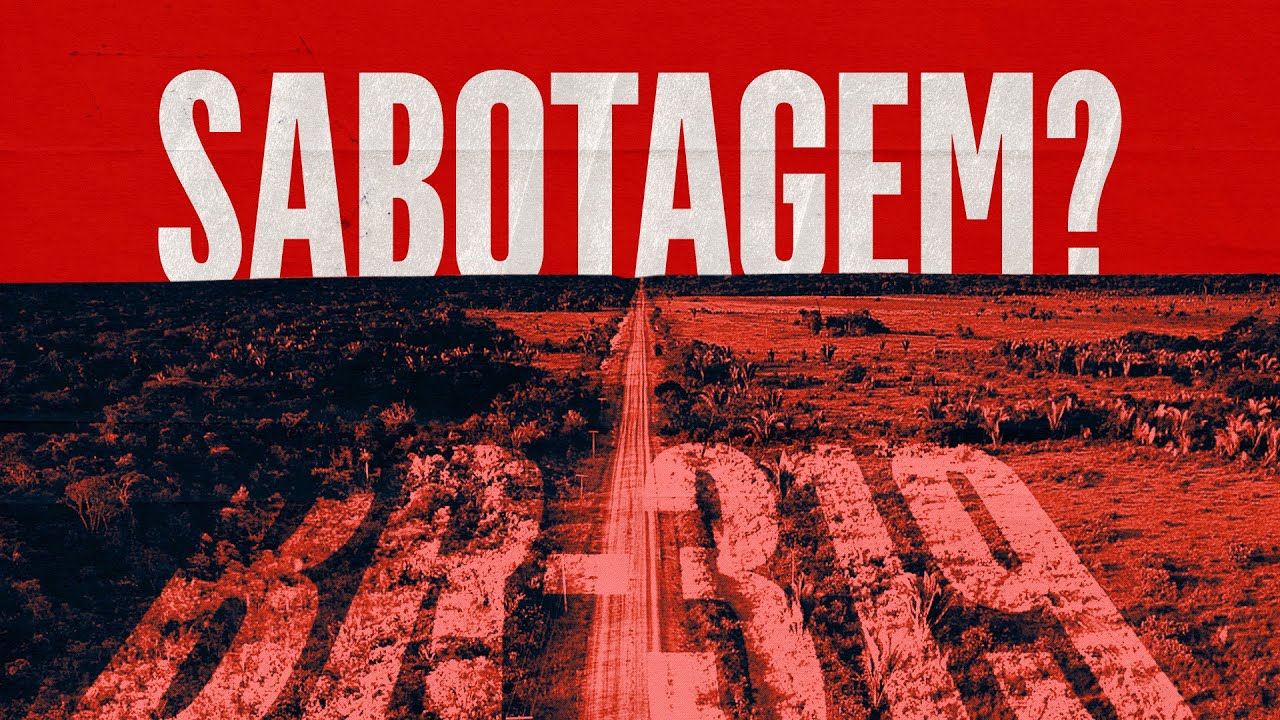 O problema do ambientalismo de ONGs no Brasil