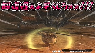 XXの裂傷状態治るの遅すぎぃぃぃぃぃぃ　part15 　モンスターハンターダブルクロス実況　のりおもちXX編　【MHXX】