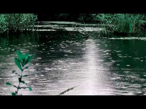 Misty Bywater - The Absence