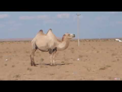 Сафар дар рохи Казокистон ба Точикистон