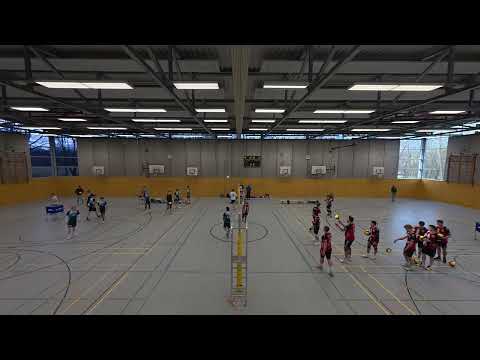 Volleyball | SHVV Landesliga | TSV Russee Fördevolleys 2 vs. Husumer SV 1