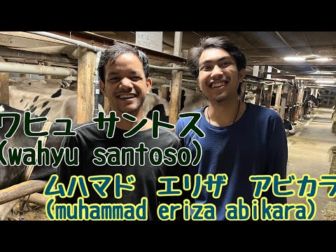 酪農 スタッフ紹介 ワヒュ サントス(wahyu santoso)と　ムハマド　エリザ　アビカラ(muhammad eriza abikara) 大阪 堺市 牧場