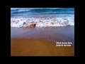 Chris Rea - Little Blonde Plaits (audio + lyrics)