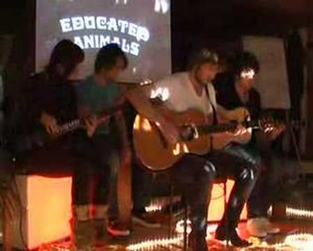Educated Animals - Magic Potions acoustic