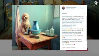 AirBnb: Van Gogh's Bedroom