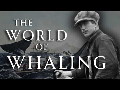Everything You Never Knew About the Whaling Industry | Human Voiced, No Ads