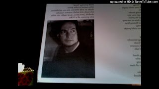 Tobin Sprout - Vertical Insect (The Lights Are On)