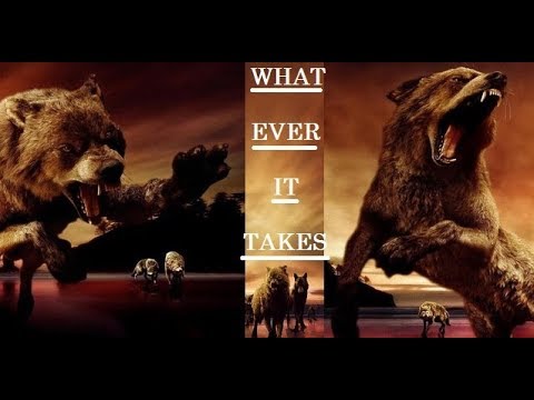 Twilight Wolves - Whatever It Takes