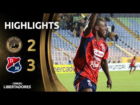 bg-highlight