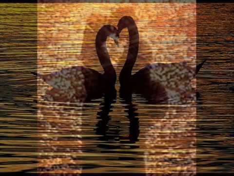 Martin Pogosyan - Inch imanai