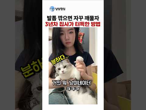 발톱 깎으면 자꾸 깨무는 고양이. 3년차 집사가 터득한 방법