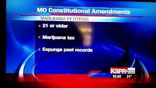 Show-Me Cannabis Initiative Petition Approved for 2014 on Local News
