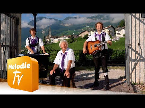 Die Vaiolets - Wenn einer geht, den man im Herzen trägt (Offizielles Musikvideo)