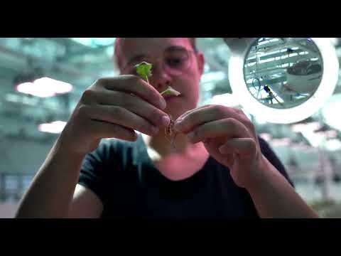 Gemeinsam wachsen: Ausbildung bei der DSV