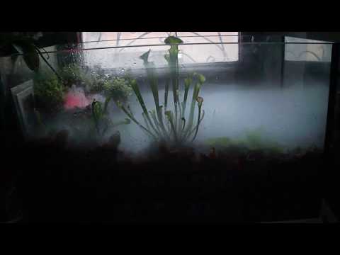 comment augmenter hygrometrie