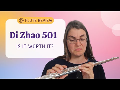 I FINALLY got to review these flutes/Reviewing the Di Zhao 501