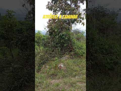 Club de Caminantes Don Felipe. Zea estado Mérida, Venezuela
