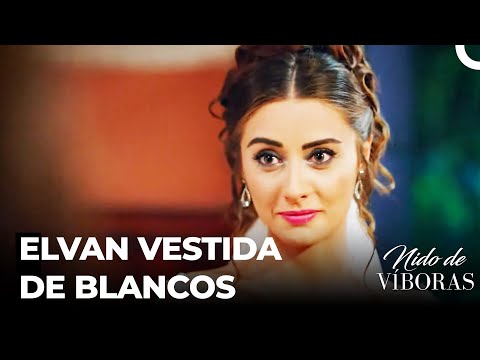 Sueño De Vestido De Novia De Elvan - Nido De Víboras