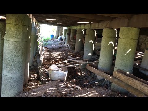 RATANABÁ, CIDADE PERDIDA #amazonia #ratanaba #misterio #brasil