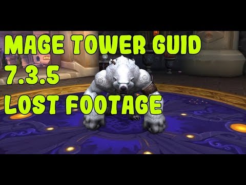 7.3.5 Guardian druid mage tower guide