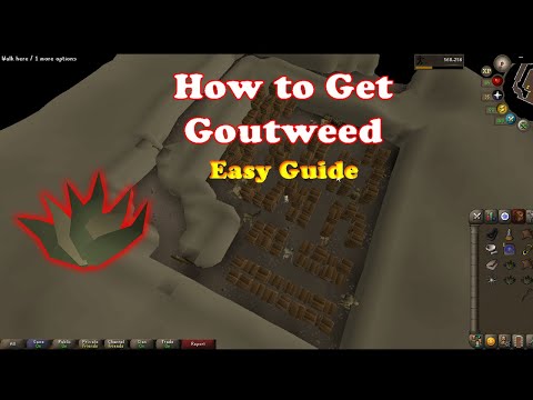 How to Get Goutweed Osrs ! Easy Method