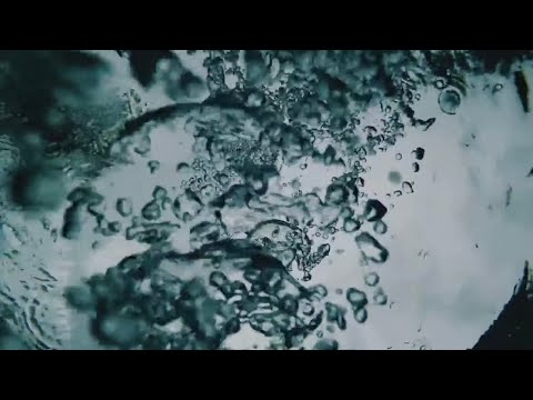 Lobo Malo - Me Sirve Así (Video Oficial)