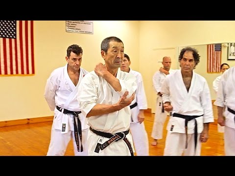 Master Osaka explains last moves elbow position for Heian Sandan