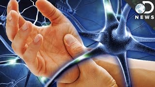 Why Can&#39;t We Reverse Nerve Damage?