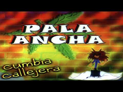 Injusta condena Pala ancha