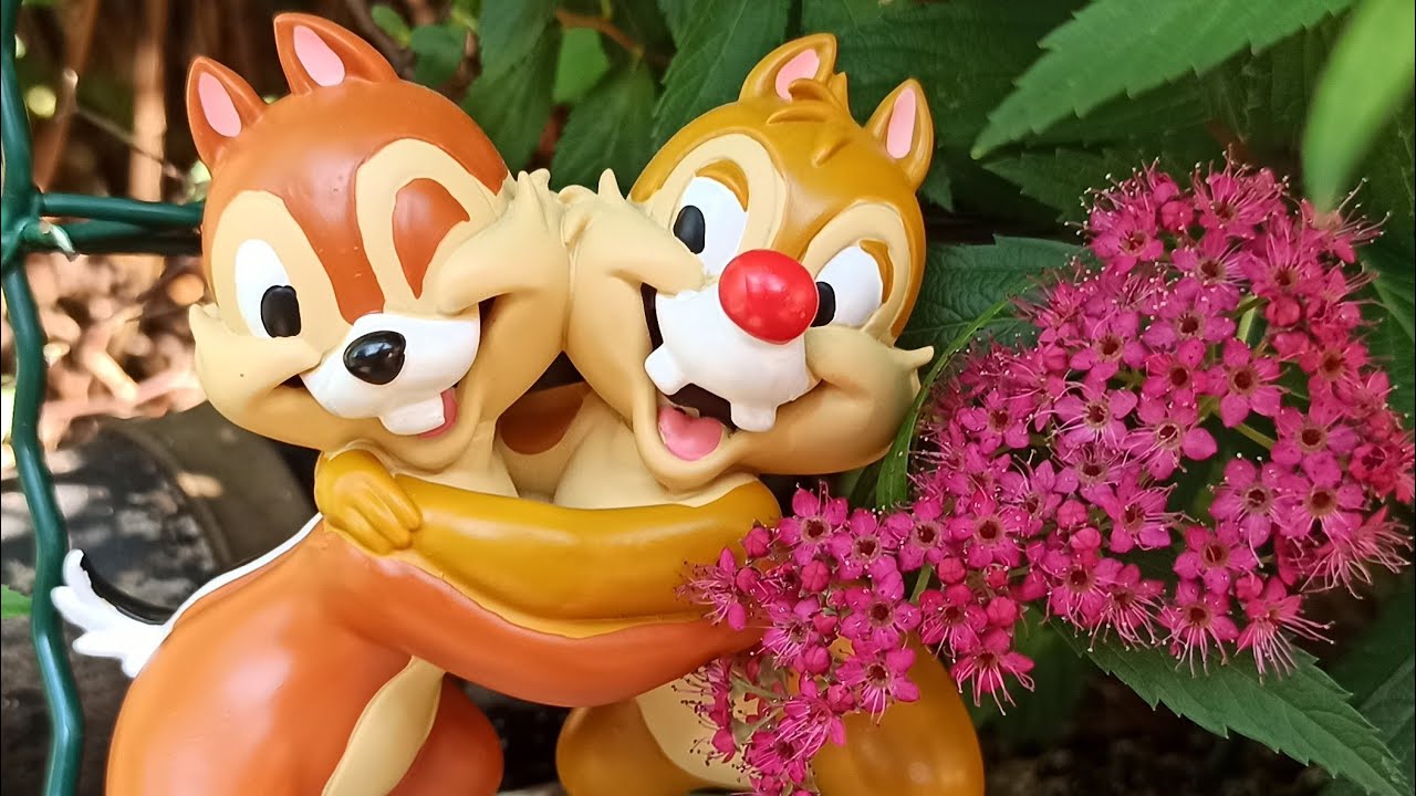 TIC ET TAC ENFIN DANS LA COLLECTION ! Unboxing collection Disney Hachette #35