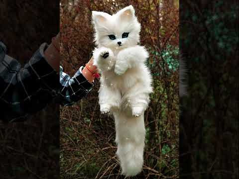 Nashata/Нашата-Galin x Lidia x Dessita x Simona x Adam (speed up)