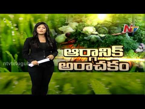 download lagu mp3 mp4 Organic Fruits And Vegetables In Hyderabad, download lagu Organic Fruits And Vegetables In Hyderabad gratis, unduh video klip Organic Fruits And Vegetables In Hyderabad