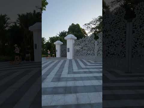 Explorando o Jardim Botânico de Singapura