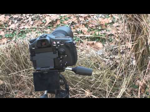 Online Makro Workshop Teil 1