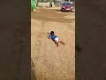 Akka Valla Tho Veltha Ani Ela Vurukuthunnado Chudandi Shorts Viral Trending Youtubshorts