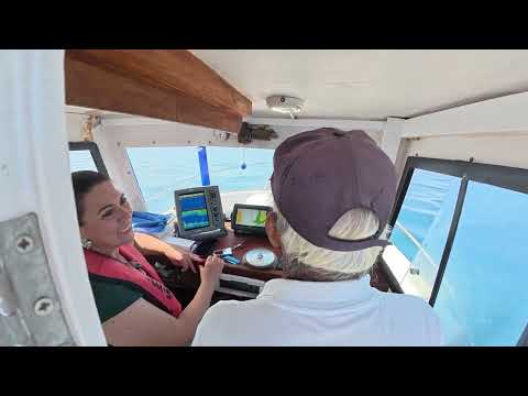 VISITA À ILHA DO PESSEGUEIRO