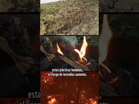 ¡Los incendios sí se pueden prevenir!