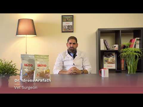 Rimads @ Y-Series with Dr Idrees Arafath #pets #cats #technology