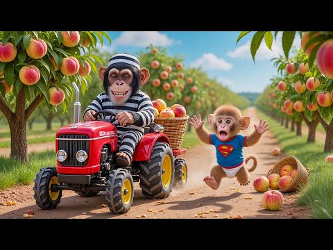Monkey Riki Drives Tractor to Harvest Peaches and Catch a Sneaky Thief on the Farm! 🐒🍑🚜😱