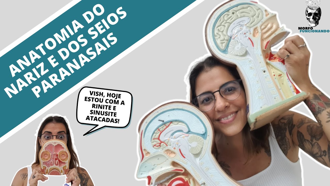 ANATOMIA DO NARIZ E SEIOS PARANASAIS - VIAS AÉREAS SUPERIORES #2
