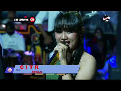 NAPTU BATIN ~ SHINTA DEWI || CITRA NADA LIVE DESA SEMBUNG (BLOK PRAPATAN) || LARANGAN - BREBES