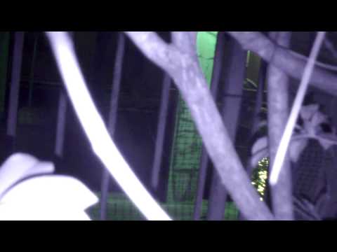 Xander's Flash Drive - 2