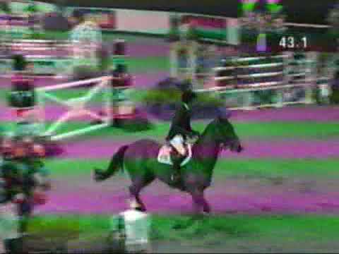 Malin Baryard   H&M Butterfly Flip