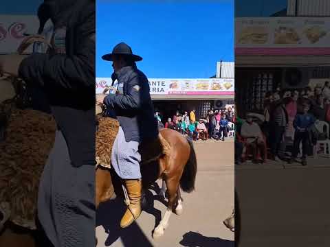 Acompanhe os cavalarianos de Alecrim-RS.