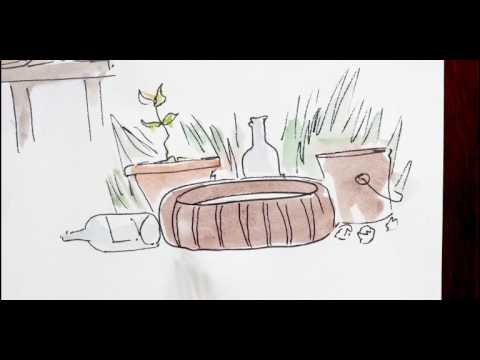 Luchemos todos contra el ZIKA - Parte 6