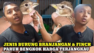 Download lagu CEK HARGA BURUNG JENIS BRANJANGAN,FINCH,PARBENG DAN MASTERAN DIKIOS LANGGENG JAYA PASAR B.PRAMUKA mp3