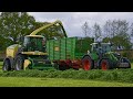 Krone BigX 630 und Fendt Abfahrer vom LU Ruge im ersten Schnitt || Landwirtschaft in Dithmarschen