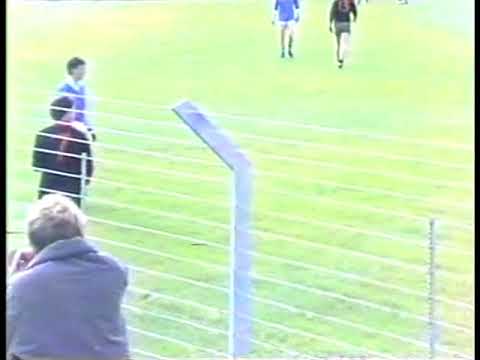 1988 Wicklow Junior B Football Final
