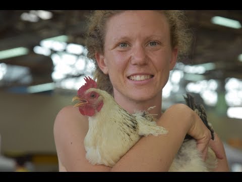 ATUTTACODA   Marina di Carrara 2019   FATTORIA FATA MIELE